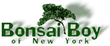 Bonsai Boy Actiecodes