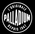 Palladium Actiecodes