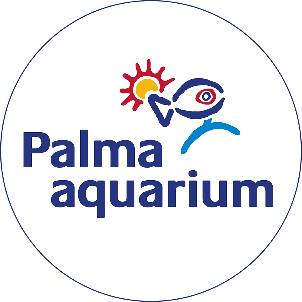 Palma Aquarium Actiecodes